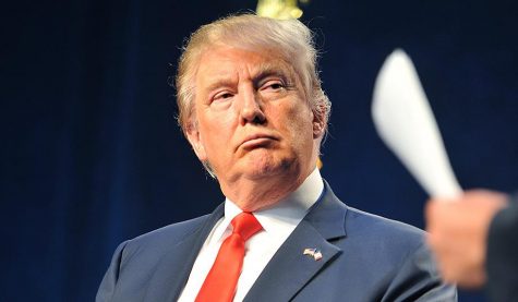 Is Trumps wall a reality?