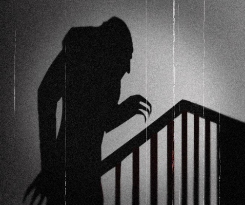 Nosferatu (1922) photo courtesy of Izzy Filippini