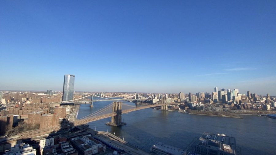 New+York+Citys+environmental+progress+of+the+East+River+amid+dolphin+sighting