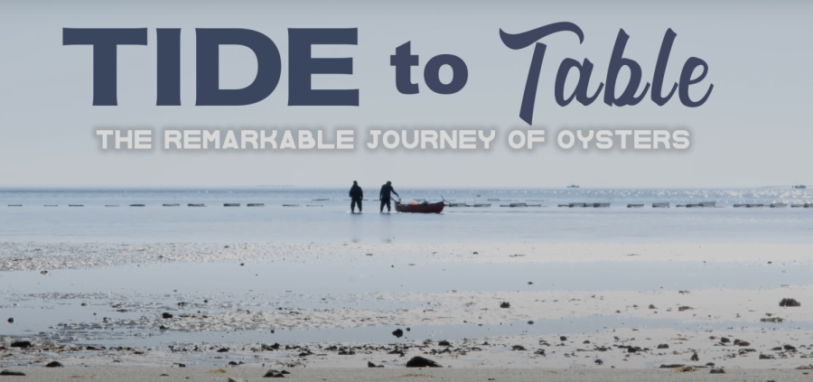 Screen Grab from documentary, Tide to Table: The Remarkable Journey of Oysters