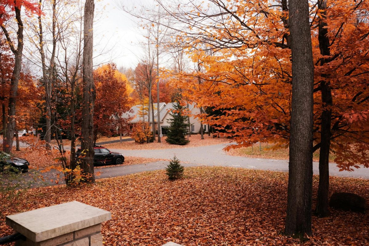 Credit: Pexels